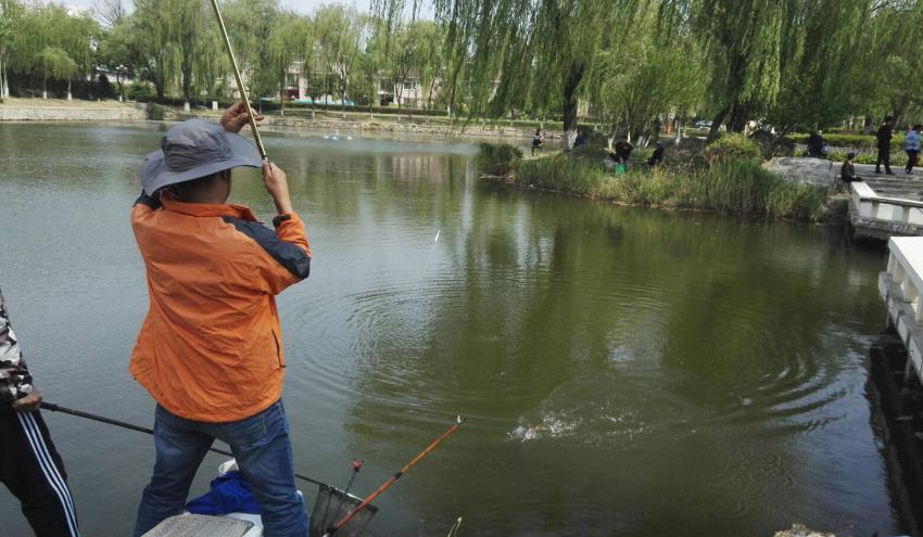 怎么让饵料不反水,饵料反水变粘