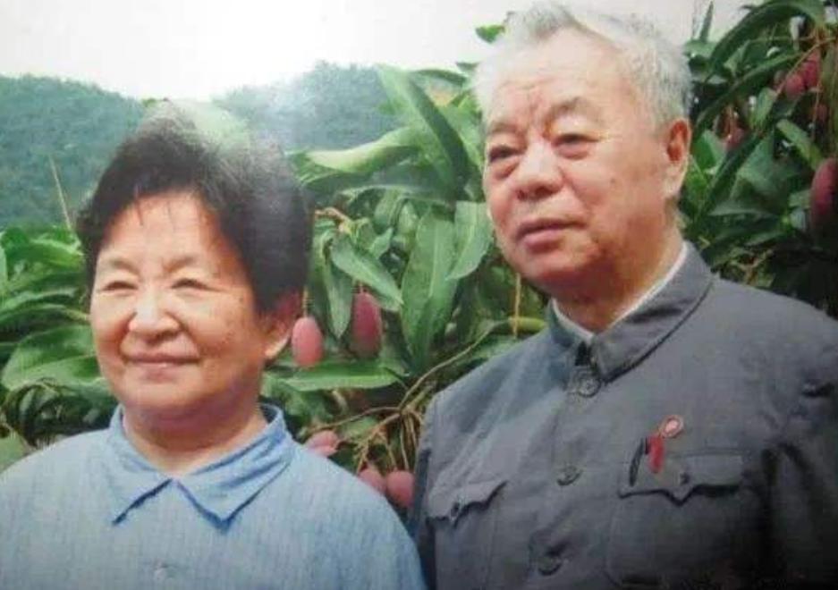 海南发现一山头长得像毛主席，孔令华跪地流泪，李讷也都感叹很像