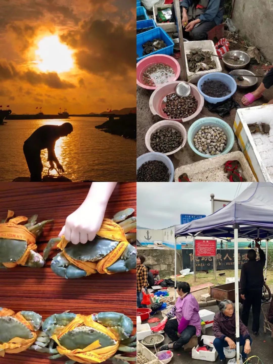 东海最后一处冷门小县城，藏了个海上仙子国，一口小海鲜封神