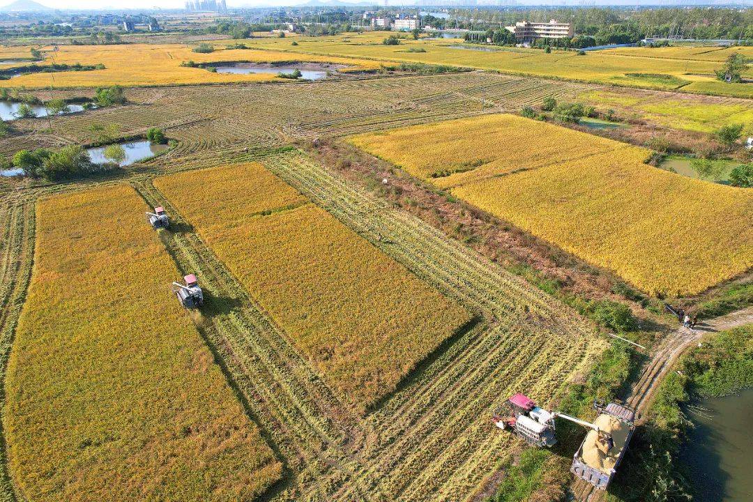 中央对贫困地区的补助标准,中央100亿补助农民如何下发的