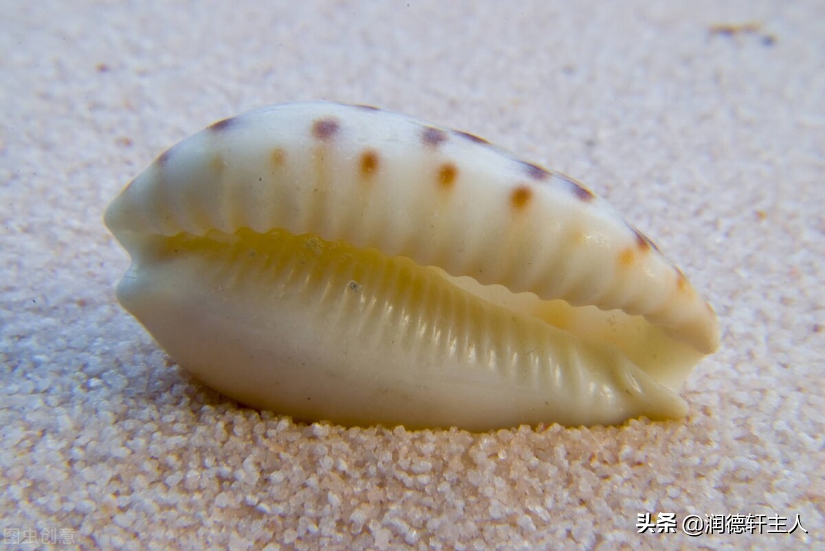 复杂的汉字招财进宝,代表招财进宝的汉字