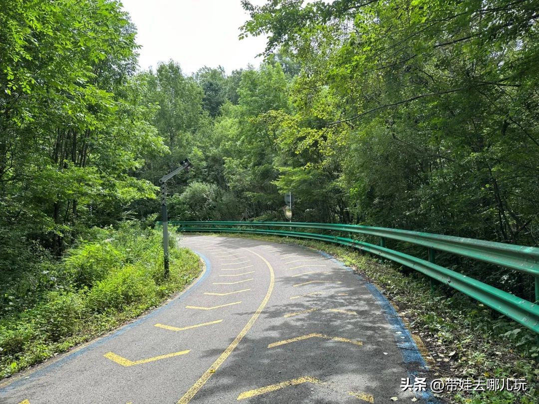 长白山二道白河旅游攻略7月游,自驾二道白河长白山旅游攻略