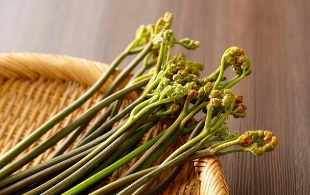 亚运美食食堂,2022亚运会菜肴