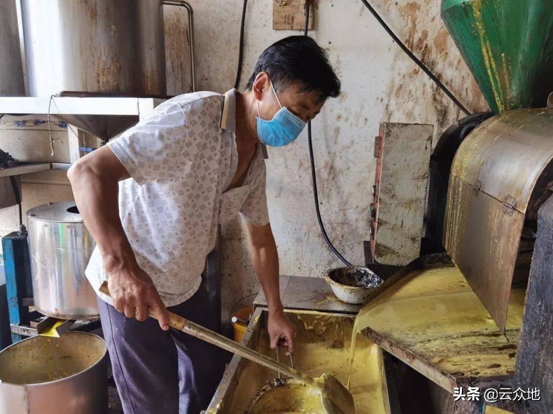 农村压榨油好还是超市好,农家压榨菜籽油与超市买的油