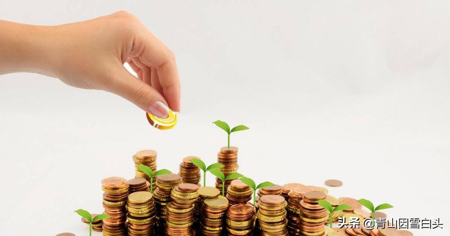 前景好的4个农村创业项目,十大适合目前农村创业的项目