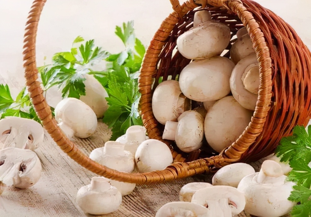 20个冷门专业,这5个专业很冷门