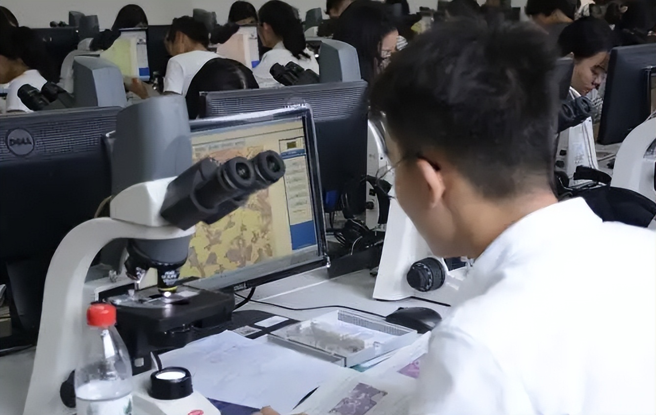 独立院校和职院合并取消了吗,合并升格院校有哪些大学