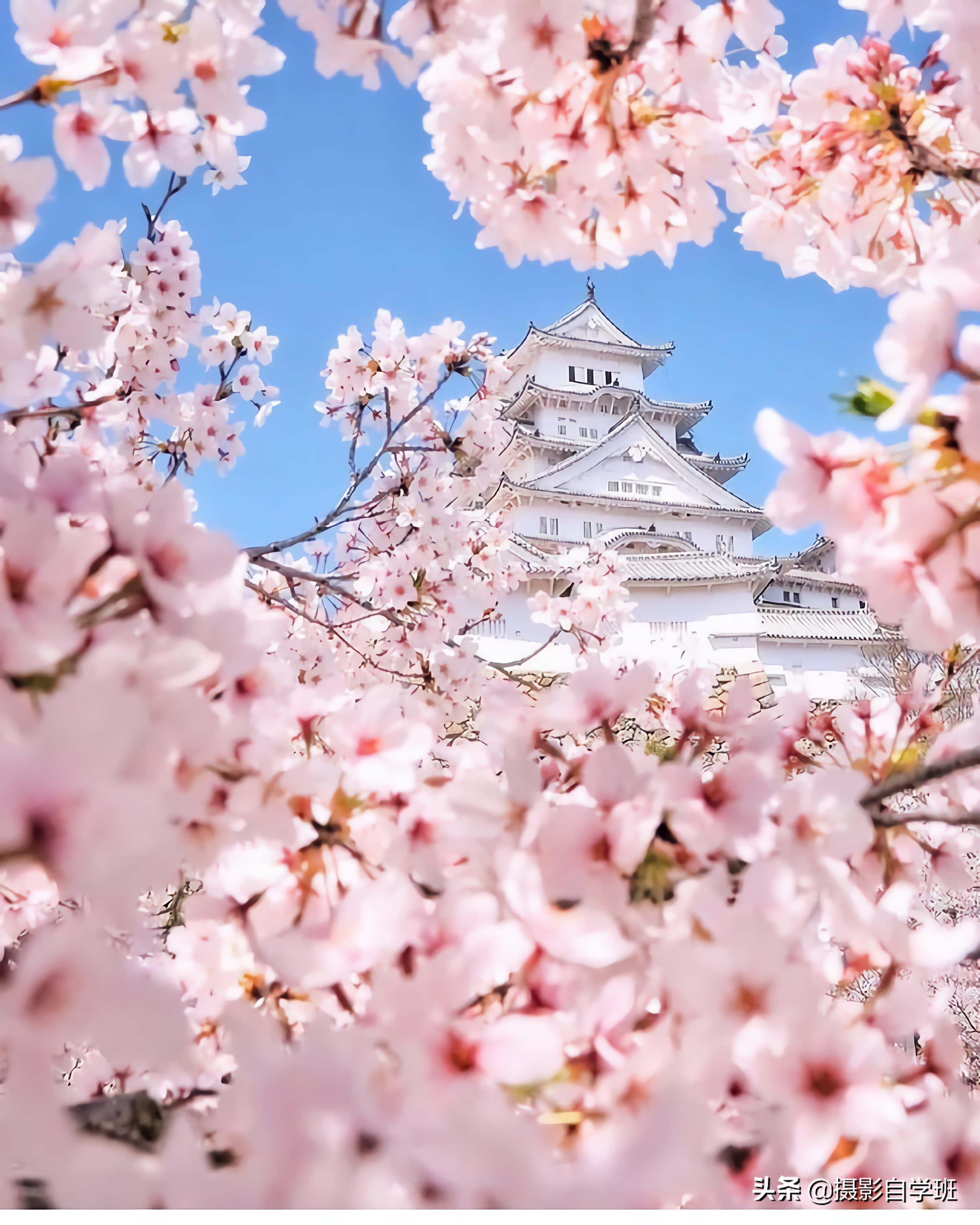 专业摄影师教你5个风光摄影技巧,摄影师拍风景教程