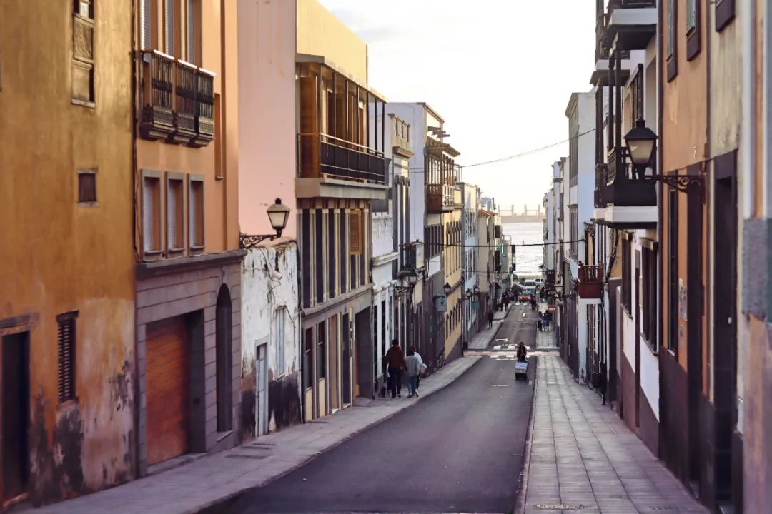 哥伦布第二次到美洲带去的作物,哥伦布带到美洲的东西