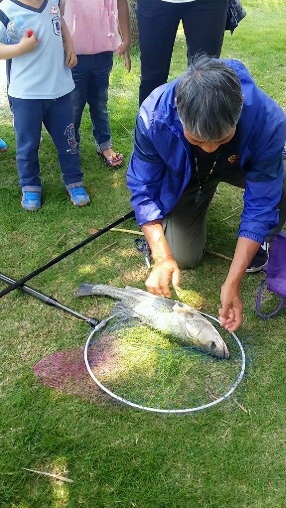 紫荆花开周柏豪,紫荆花开歌词完整版