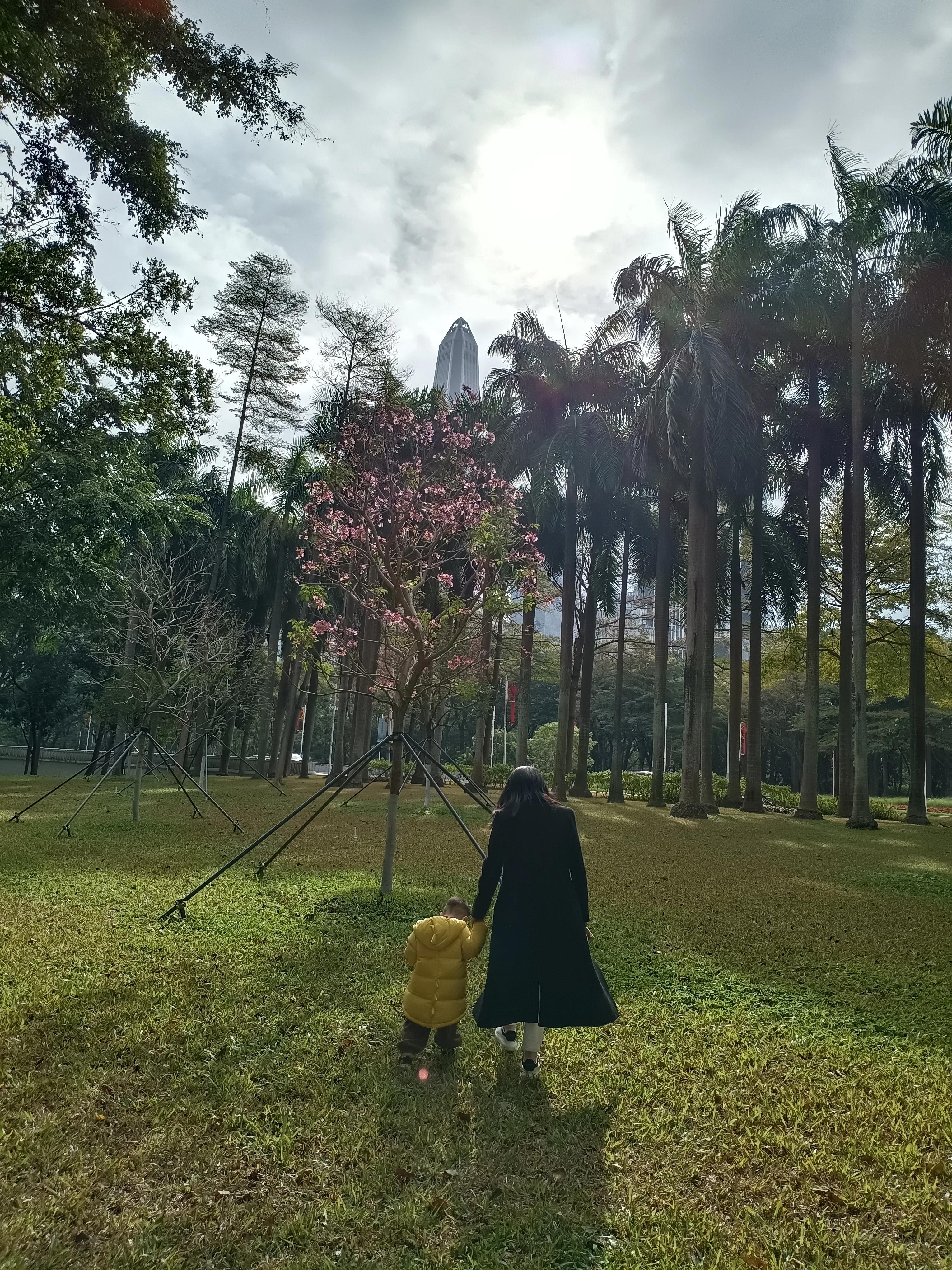 绌胯秺鐝犳捣,浠庢繁鍦冲潗鑸瑰幓鐝犳捣