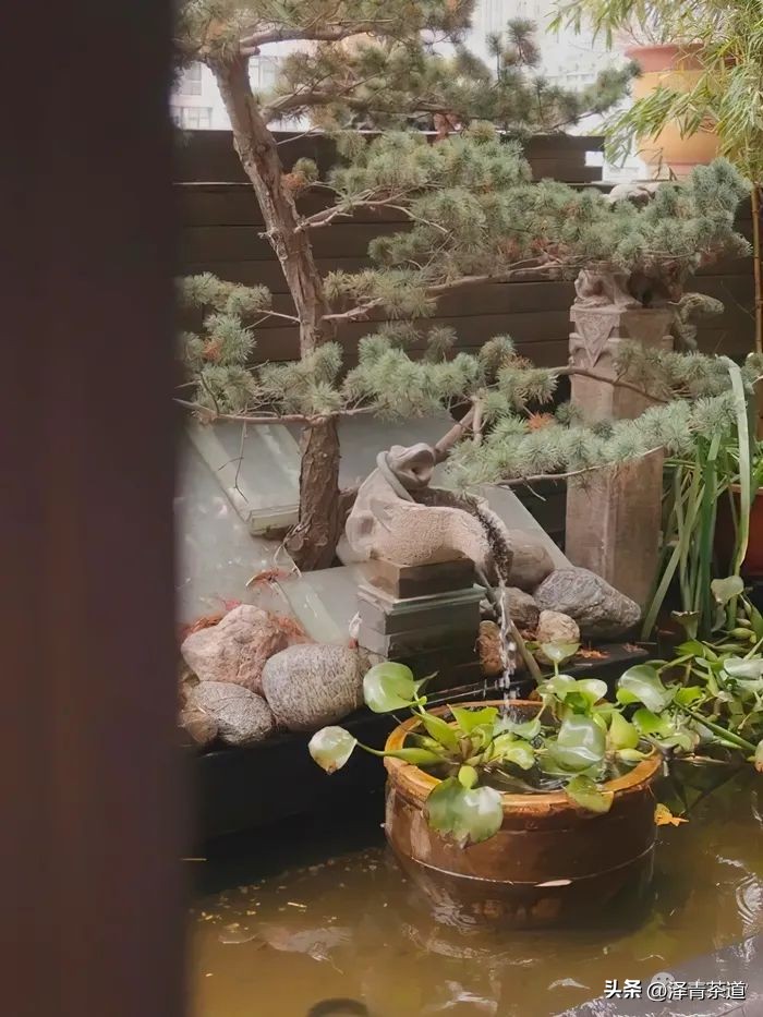 阳台创意设计成茶室,100例经典茶室设计手绘