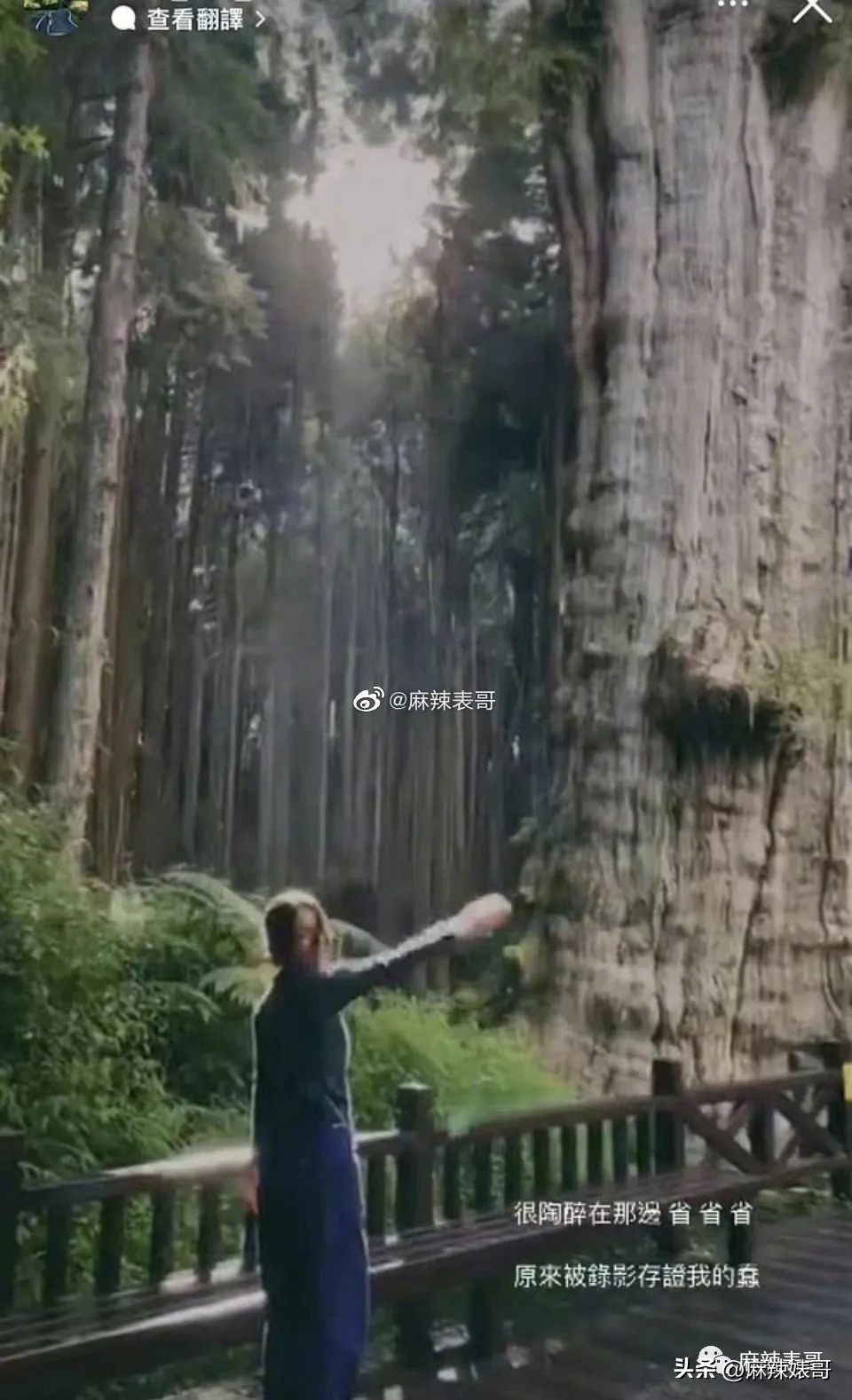 田馥甄hebe日常,hebe田馥甄最近状态