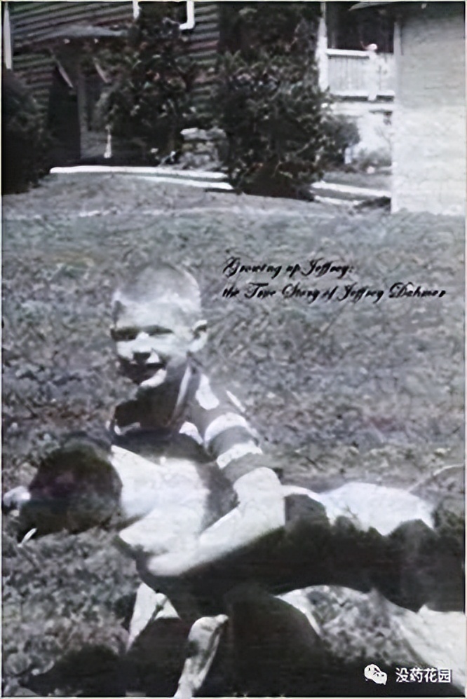 美国杀人最多连环杀手,美国上世纪真实连环杀人案