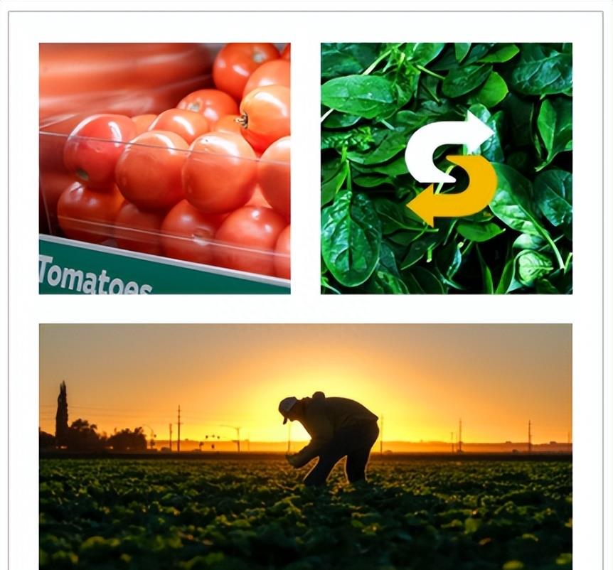 快餐大王麦当劳现状,曾经比麦当劳还火的快餐店