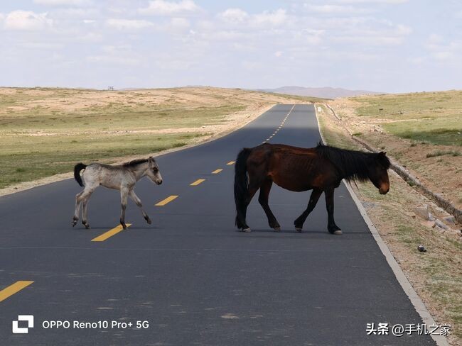 opporeno10pro体验效果视频,opporeno10pro+使用体验