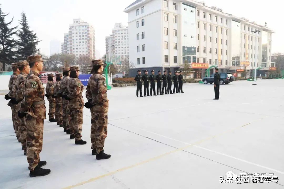 孔雀蓝入列,孔雀入缸前需要放海盐吗