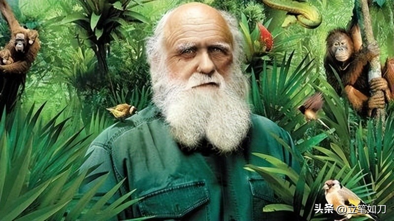 辽宁凌源:世界第一朵花在这里盛开!