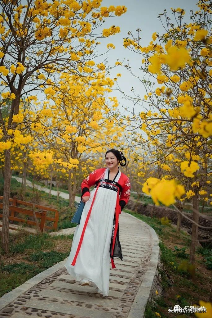 花仙子风铃,风铃花仙子