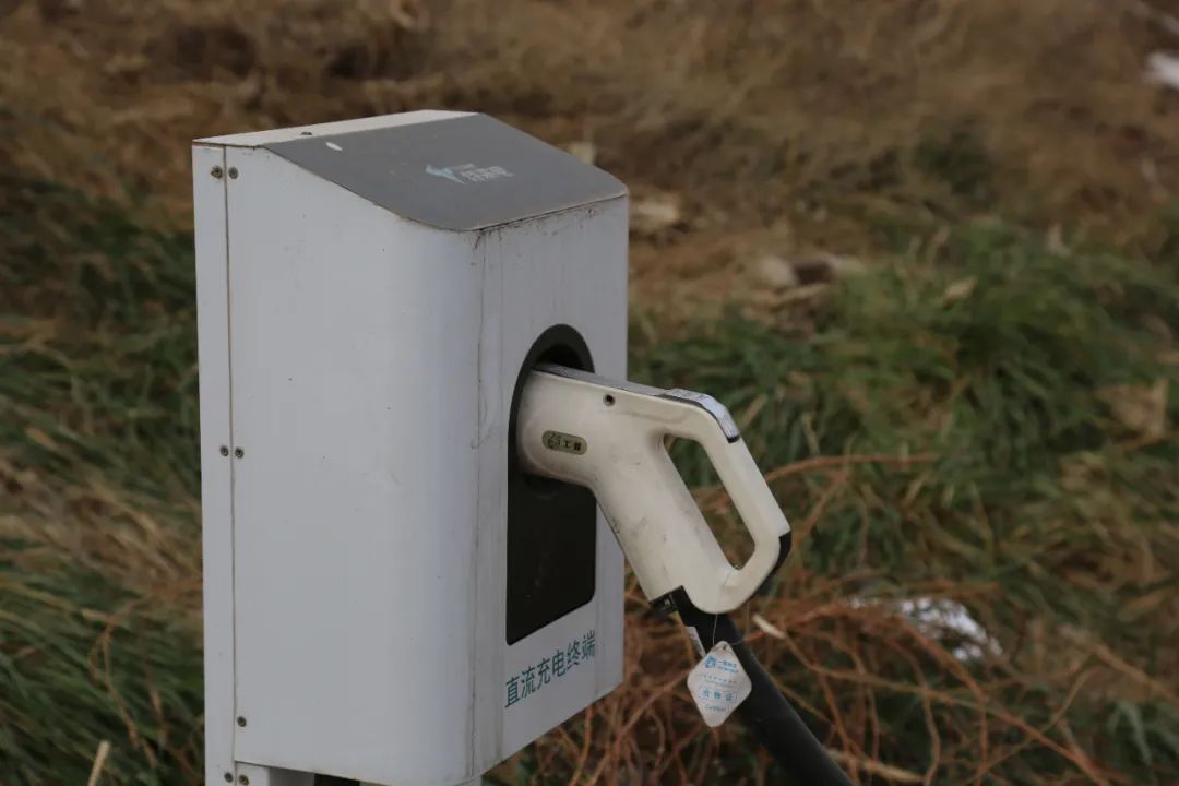 中国新能源汽车高歌猛进,中国新能源车企盈利状况