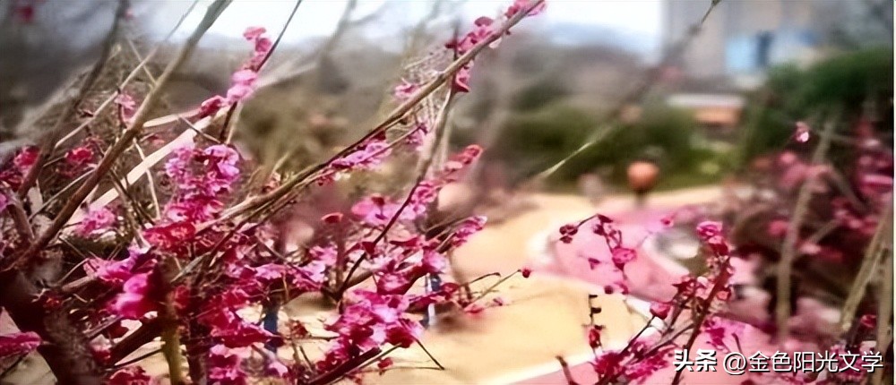 南阳周边游老君山,南阳恐龙遗迹园旅游攻略