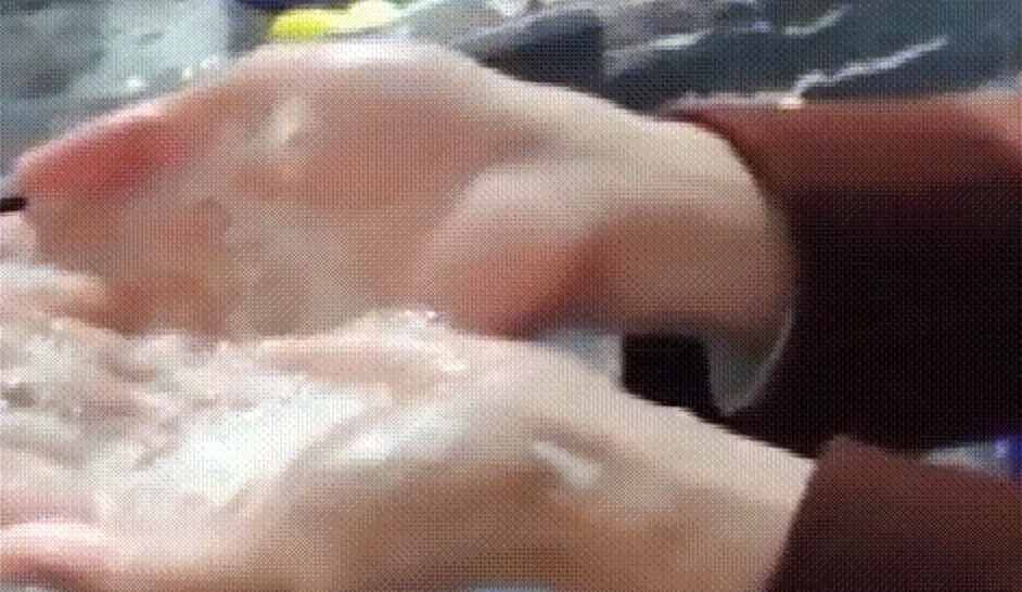 怎么清洗抽油烟机油污妙招,油烟机用什么清理污油