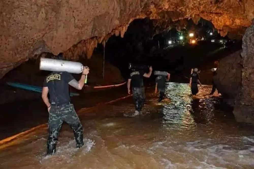 今年最高分了，还在涨