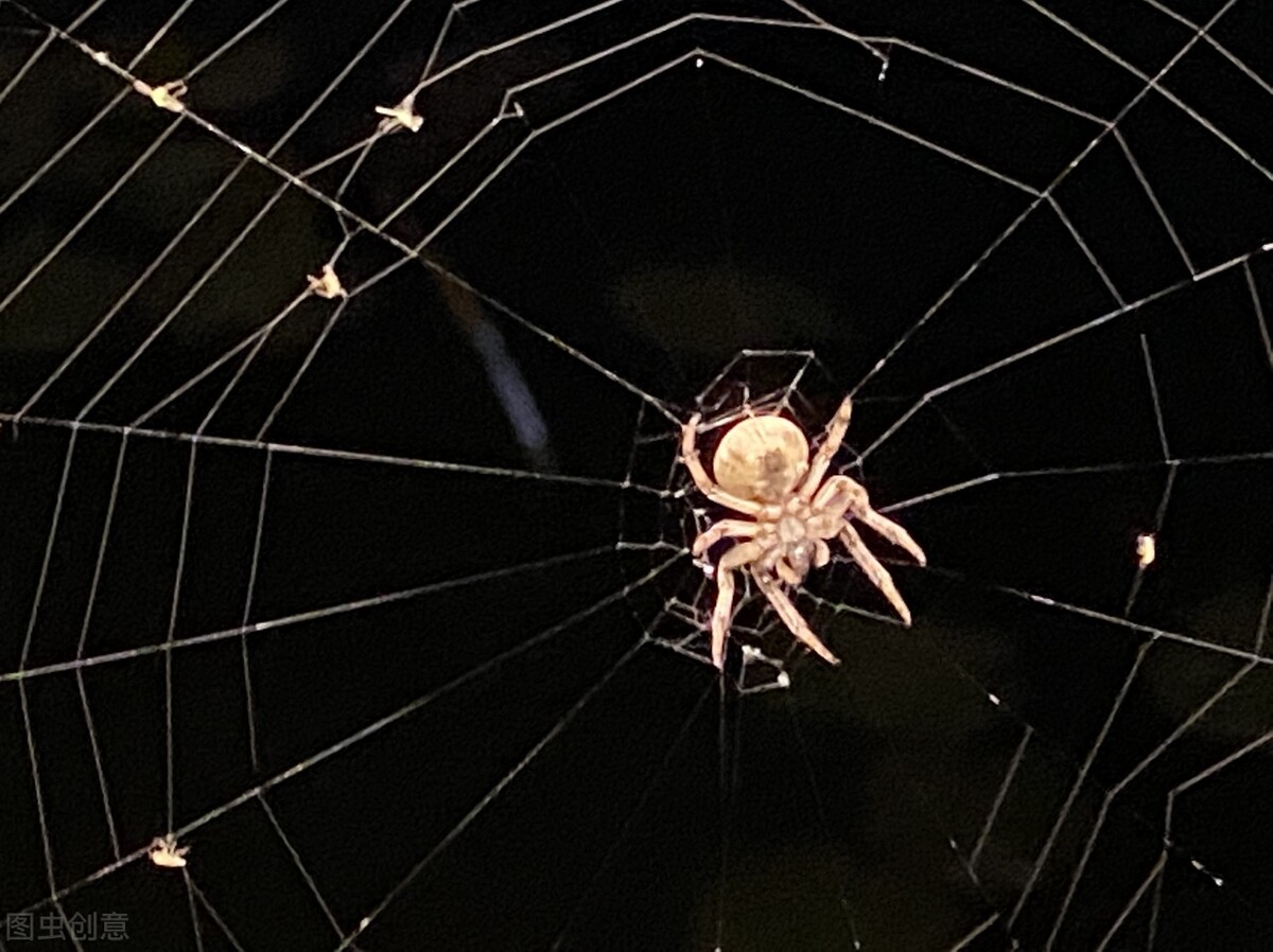 冒充中通快递员加qq是什么骗局,中通快递加qq是什么套路