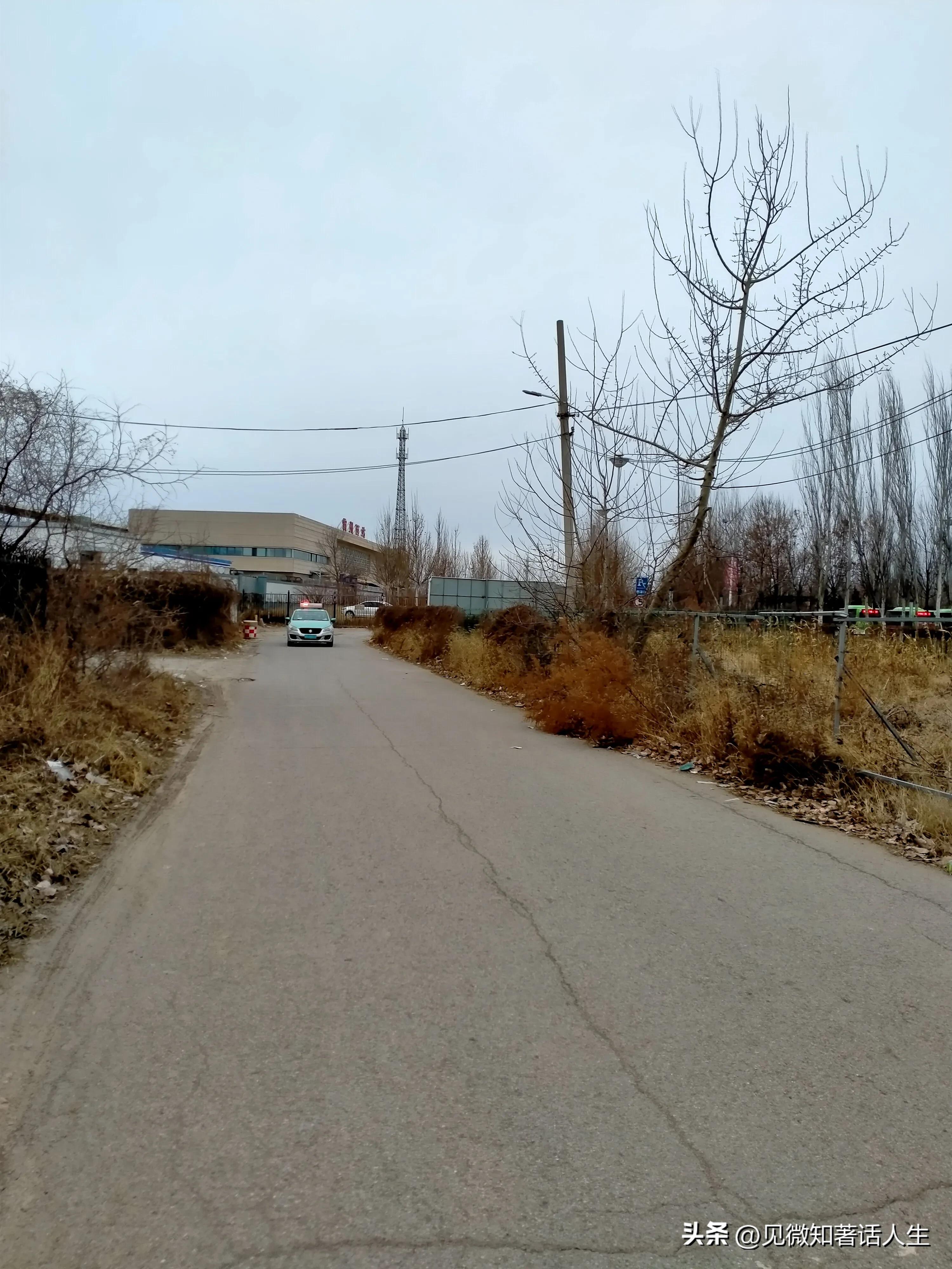 霸州旅游一日游攻略,胜芳一日游最佳路线
