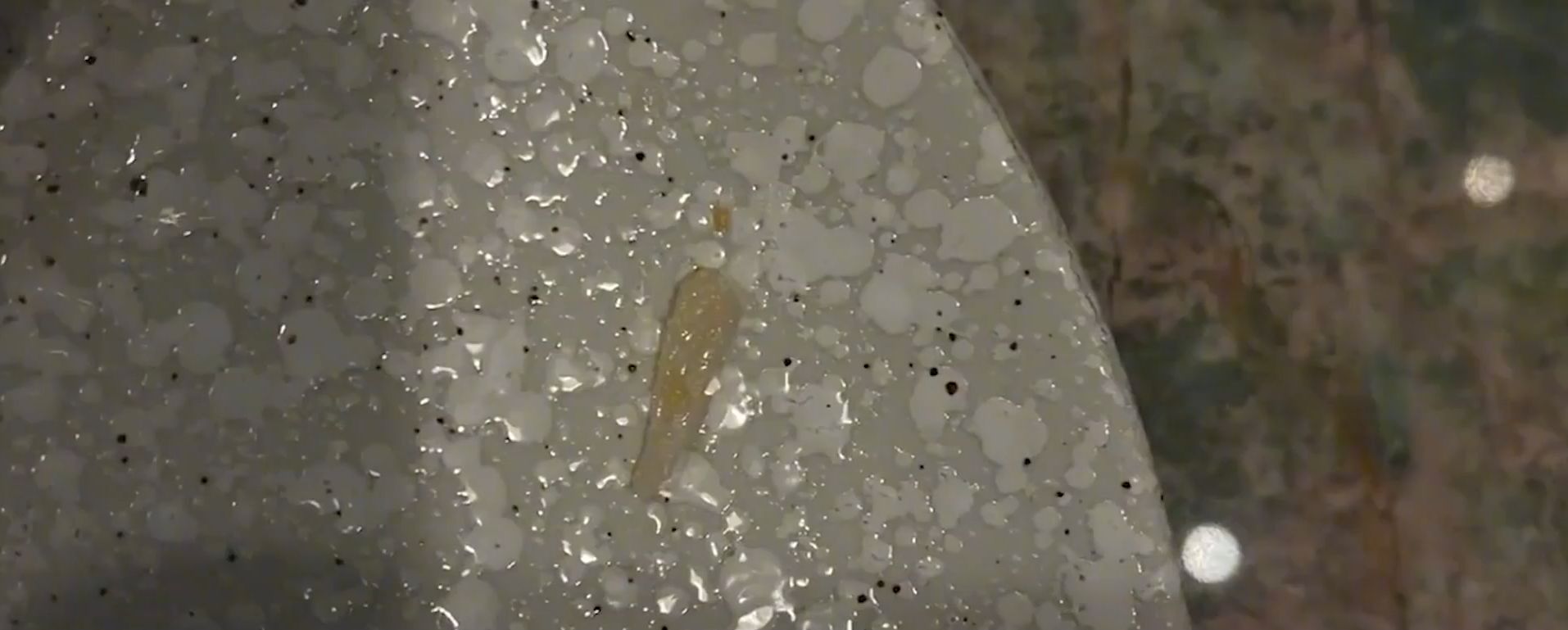 315曝光过的6种坑人食品,触目惊心2018年315曝光的食品状况