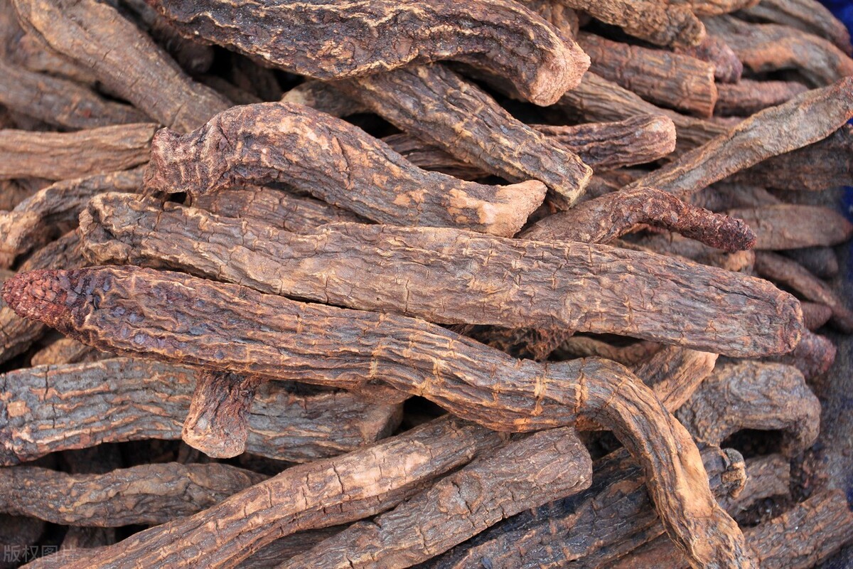 强肝肾壮筋骨中成药有哪些,有什么中药补肝肾壮筋骨