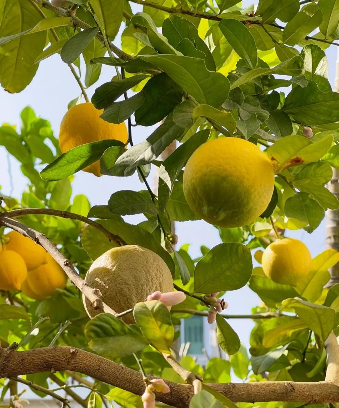 35宀佸皬濮愬鎶よ偆淇濆吇,35宀佸皬濮愬鏃ュ父鎶よ偆