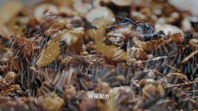 中国味儿,恰似那把瓜子