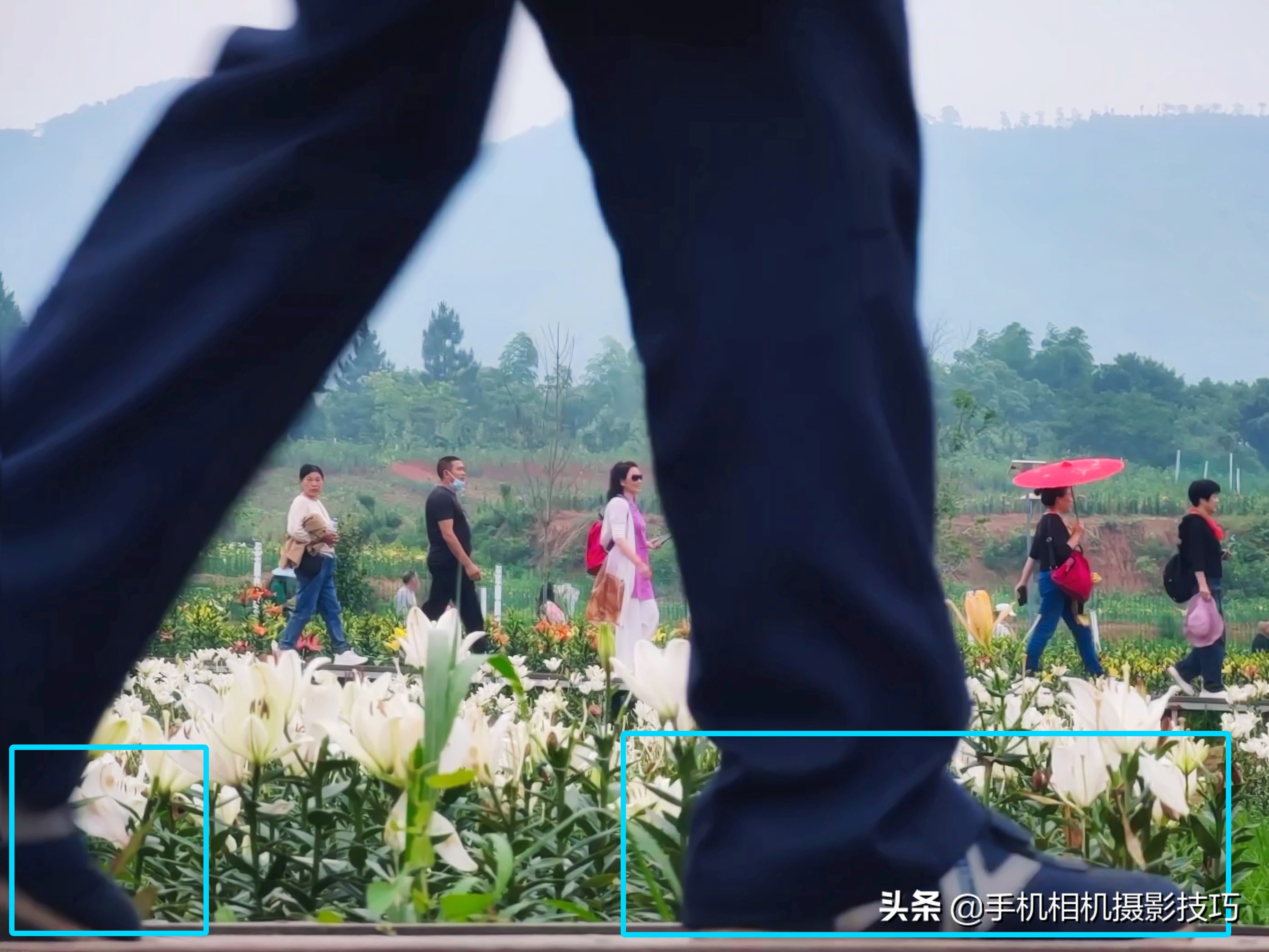 这5张照片怎样才能更好看一点？有的靠后期，有的后期也救不了