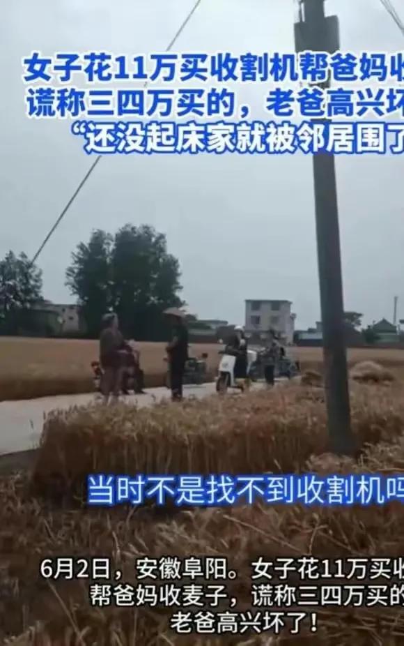 女子花11万买收割机收麦子,女子花11万给爸妈买收割机