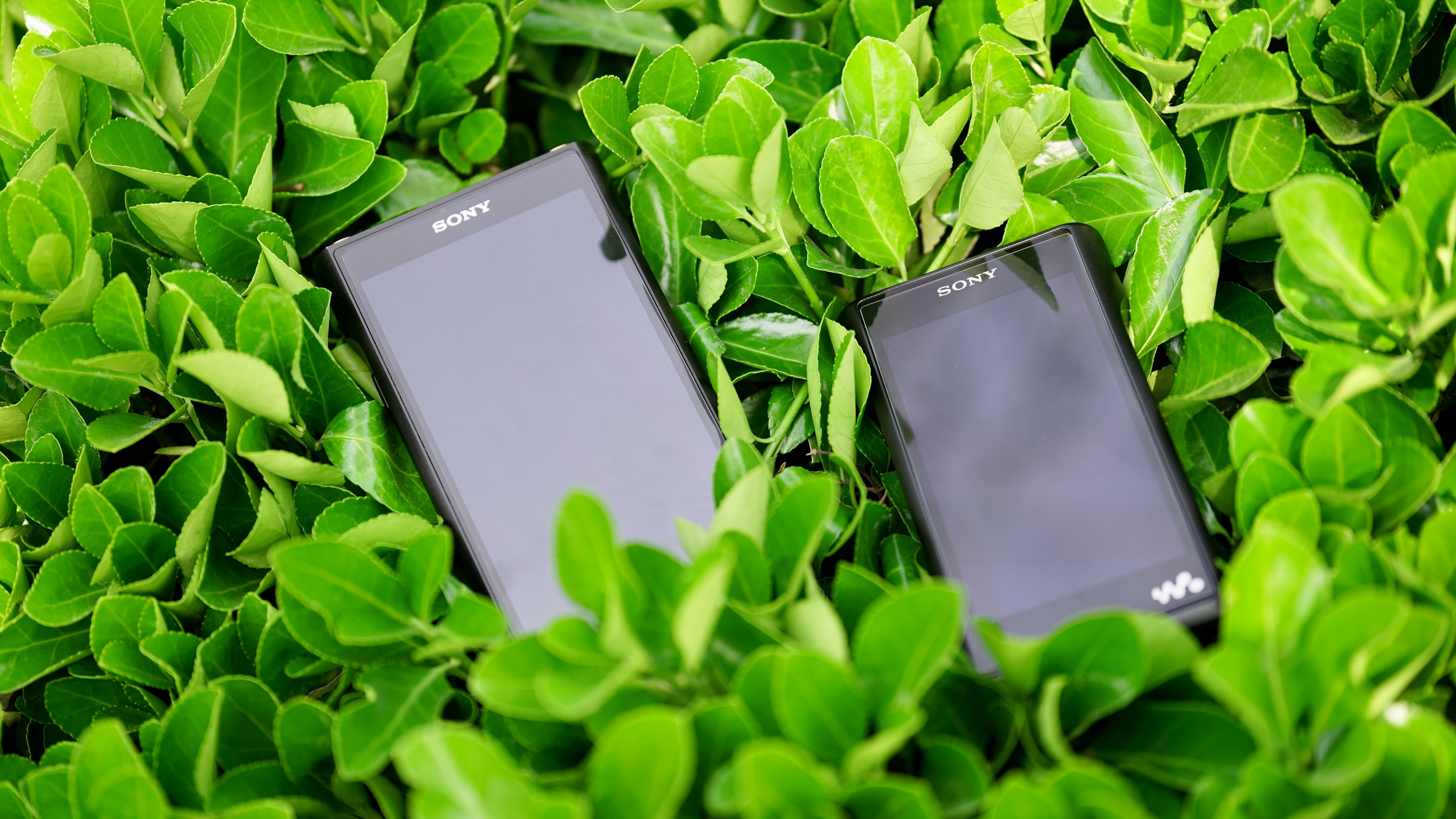 索尼walkmanwm2,索尼wm1zm2使用说明