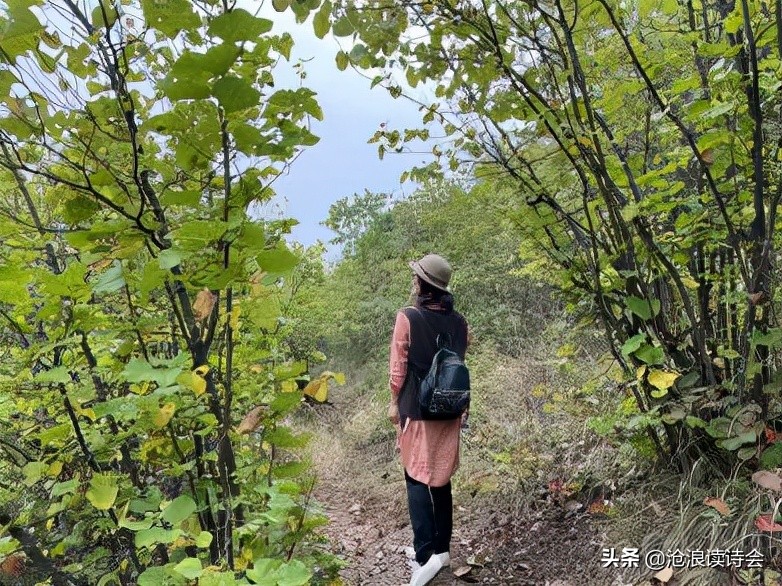 飞雪与清茶,10组好诗迎接新年,愿你晶莹诗心永恒,守护诗与远方