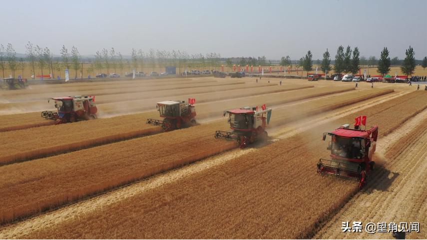 减出亿斤粮！潍柴雷沃以机收减损促颗粒归仓
