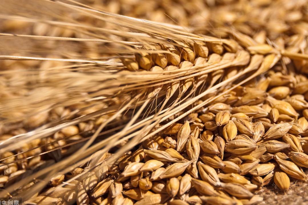 十种好喝不上头的酒便宜,国内十大入门级精酿酒