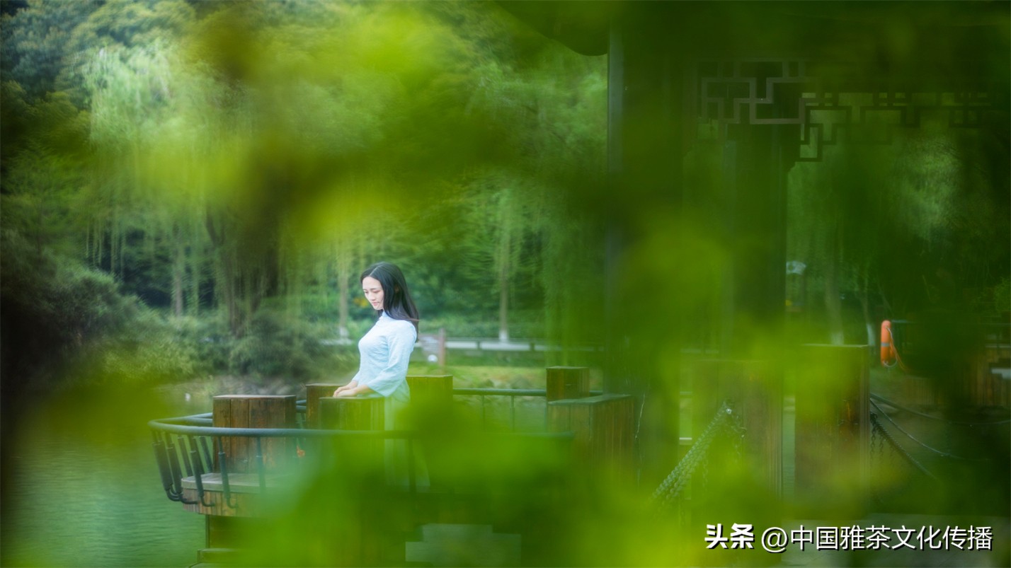 智者喜爱清泉，仁者喜爱山川