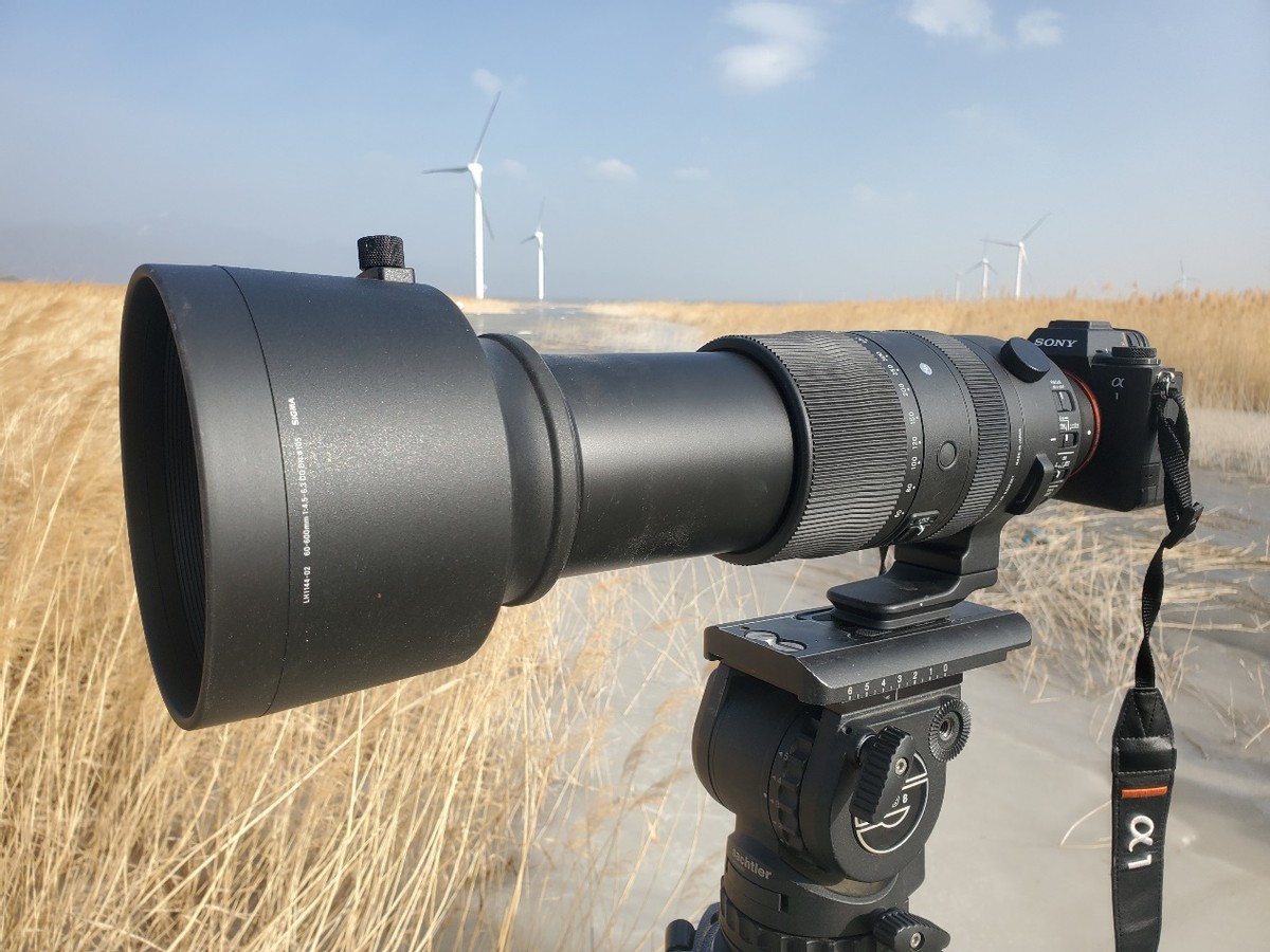 更轻、更锐、手持更稳适马60-600mmF4.5-6.3DGDNOS微单版镜头评测