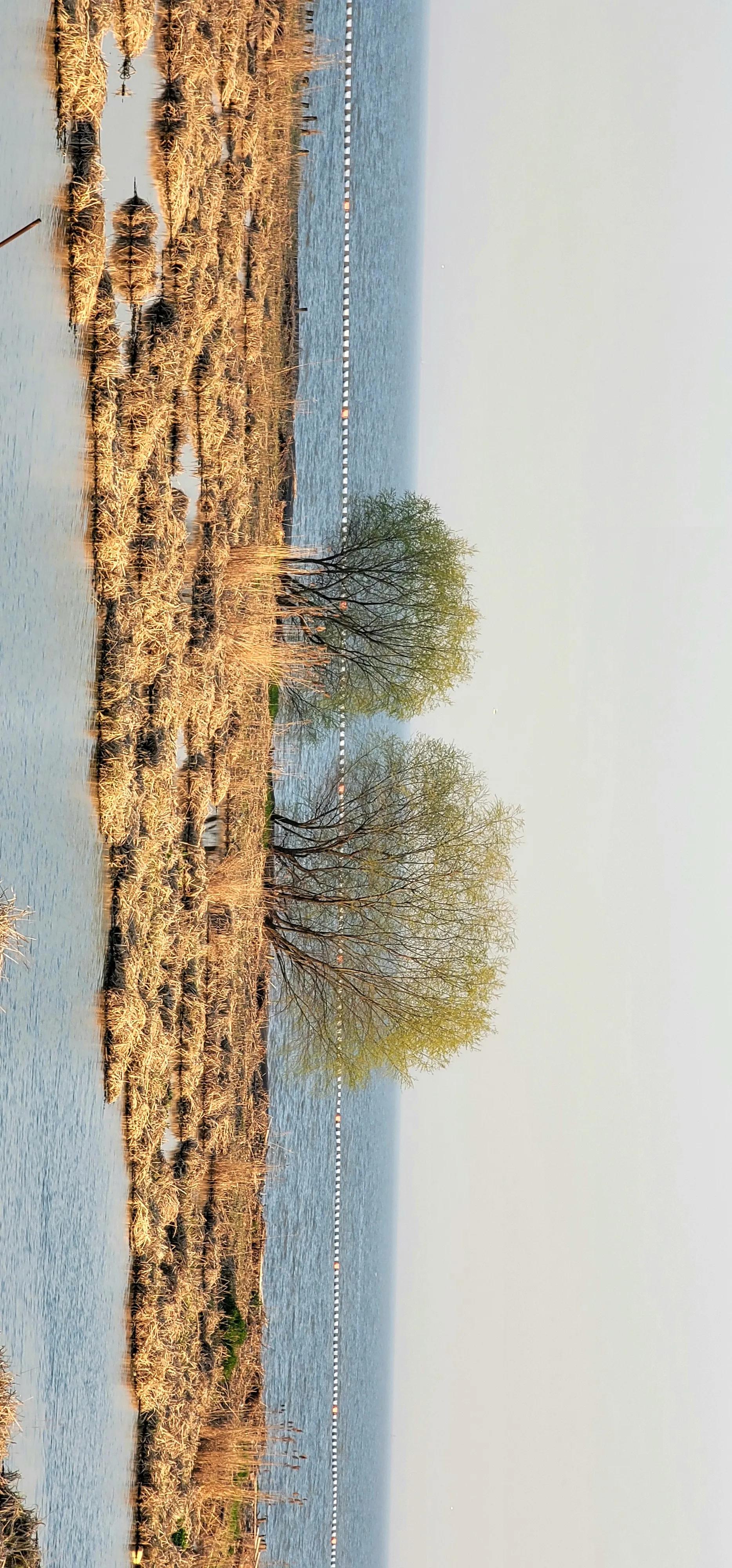 开着沪牌回老家怎么样,开着大巴玩转江浙沪