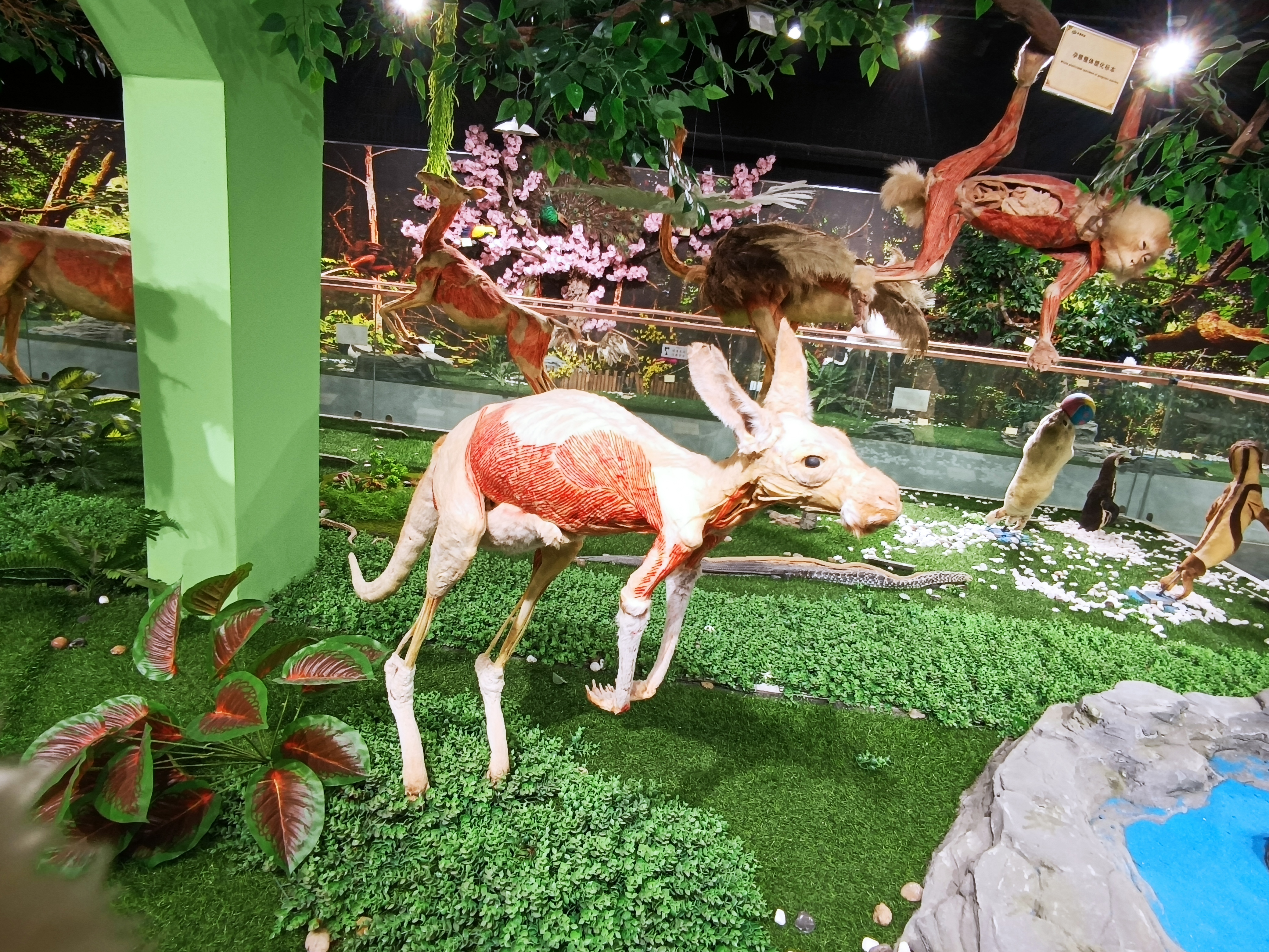 郑州人体科学馆要门票吗,郑州适合带孩子玩的博物馆科技馆