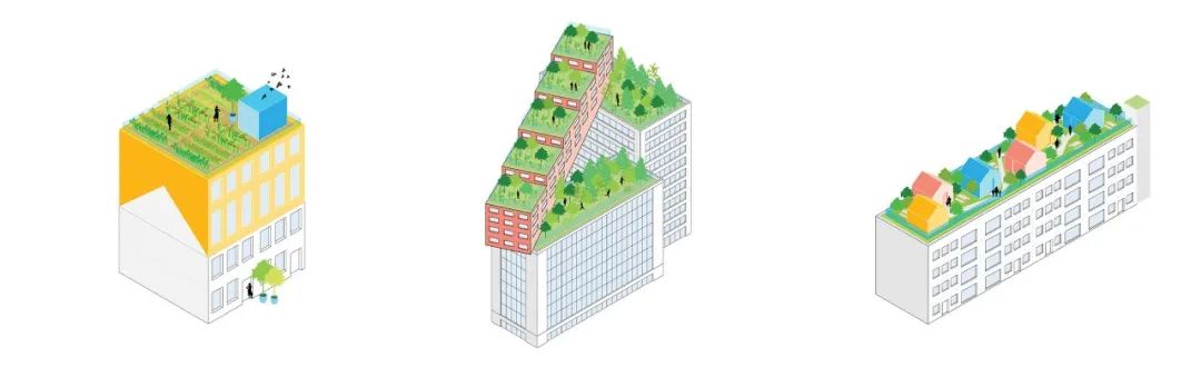 高质量屋顶设计最佳方案,屋顶设计百科全书