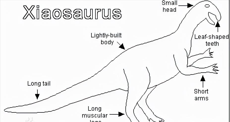 恐龙世界认识史前各种恐龙,食草恐龙和食肉恐龙科普视频