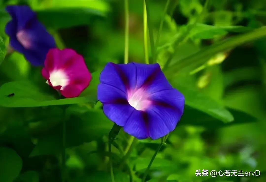 怎么才能在头条里发表文章挣钱,在头条写文章发表怎么挣钱