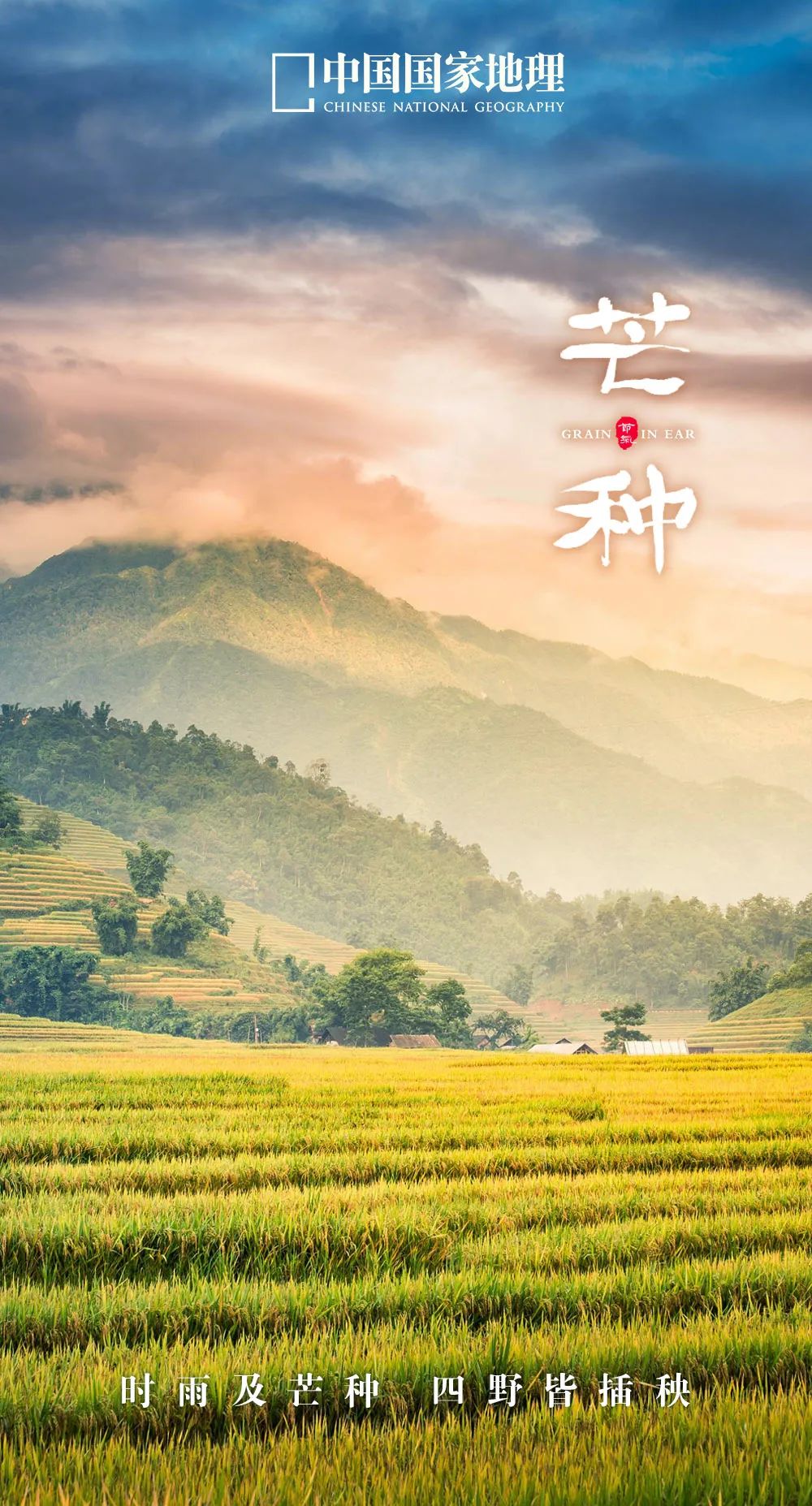 365天最美24节气图诞生惊艳国人,这组24节气图太美了