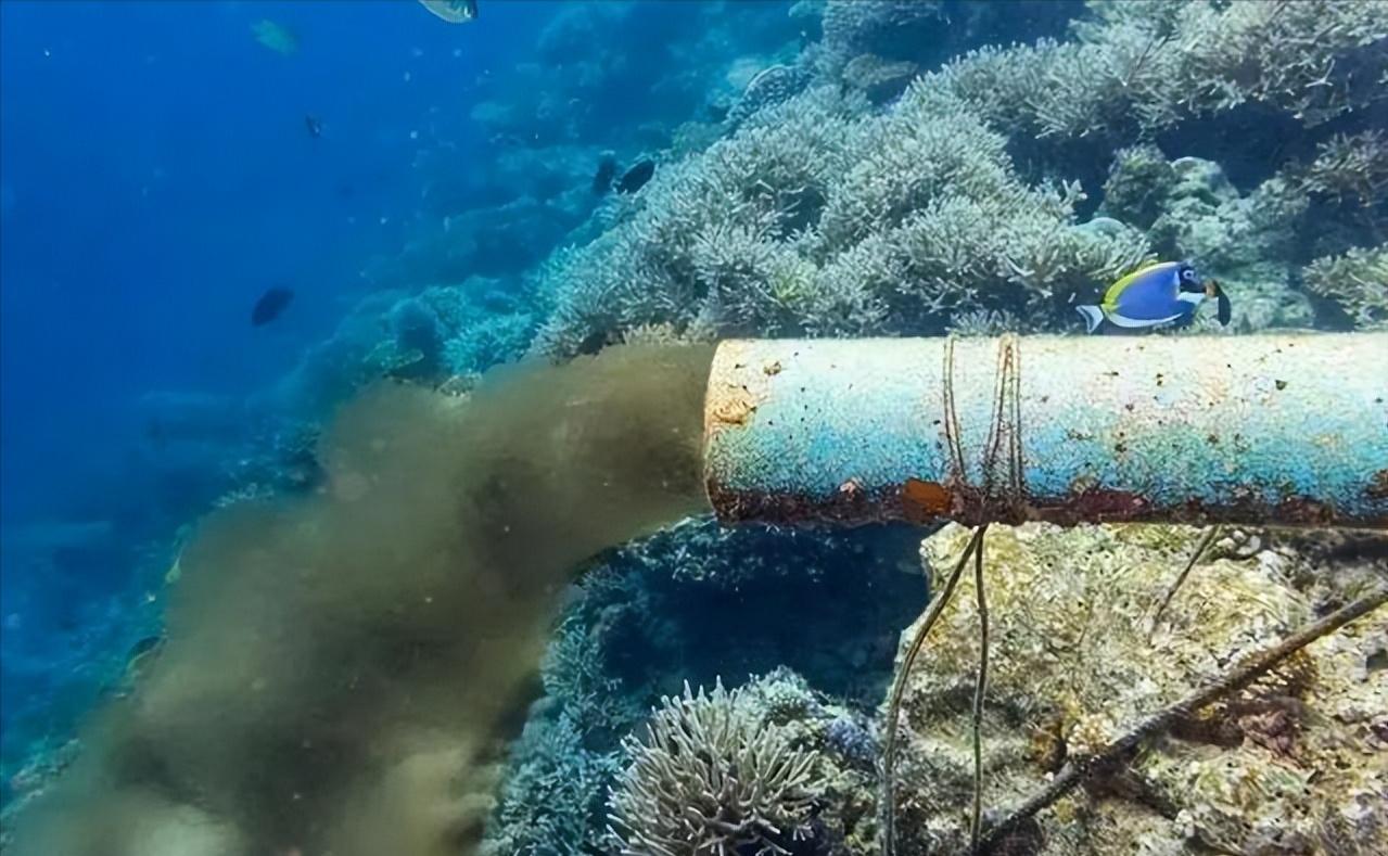 秦安：“七七事变”，灭绝人性的政客，又干了一件不亚于战争的事