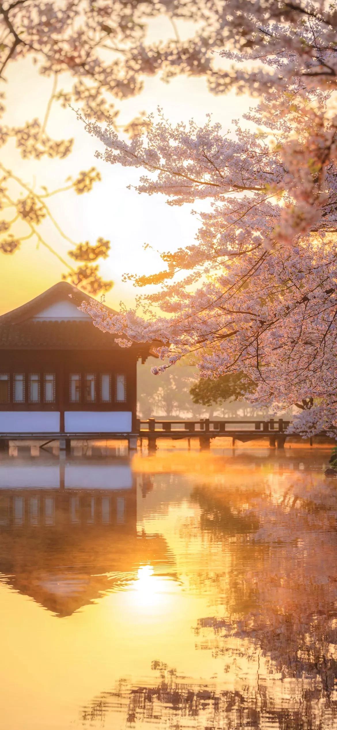 唯美古风意境手绘插画,唯美古风意境手绘头像