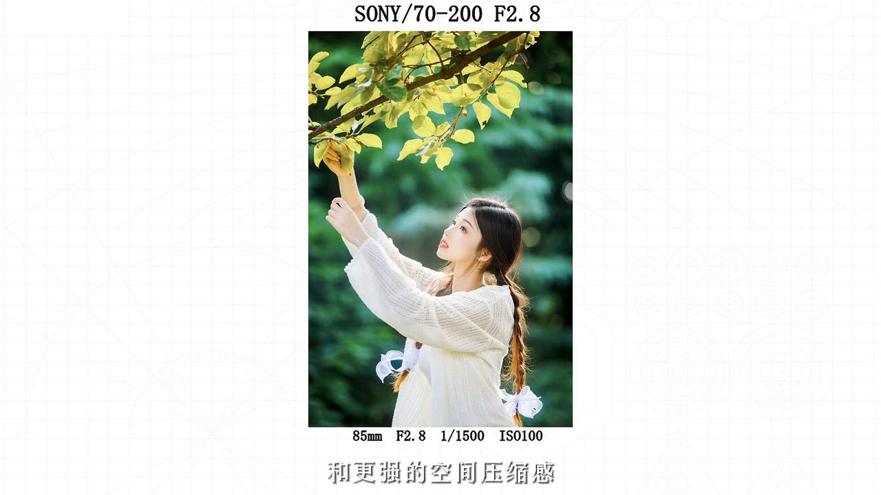 适马70-200第六代评测,尼康70-200二代和适马五代评测